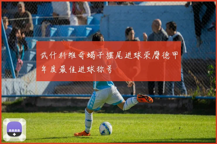 武什科维奇蝎子摆尾进球荣膺德甲年度最佳进球称号